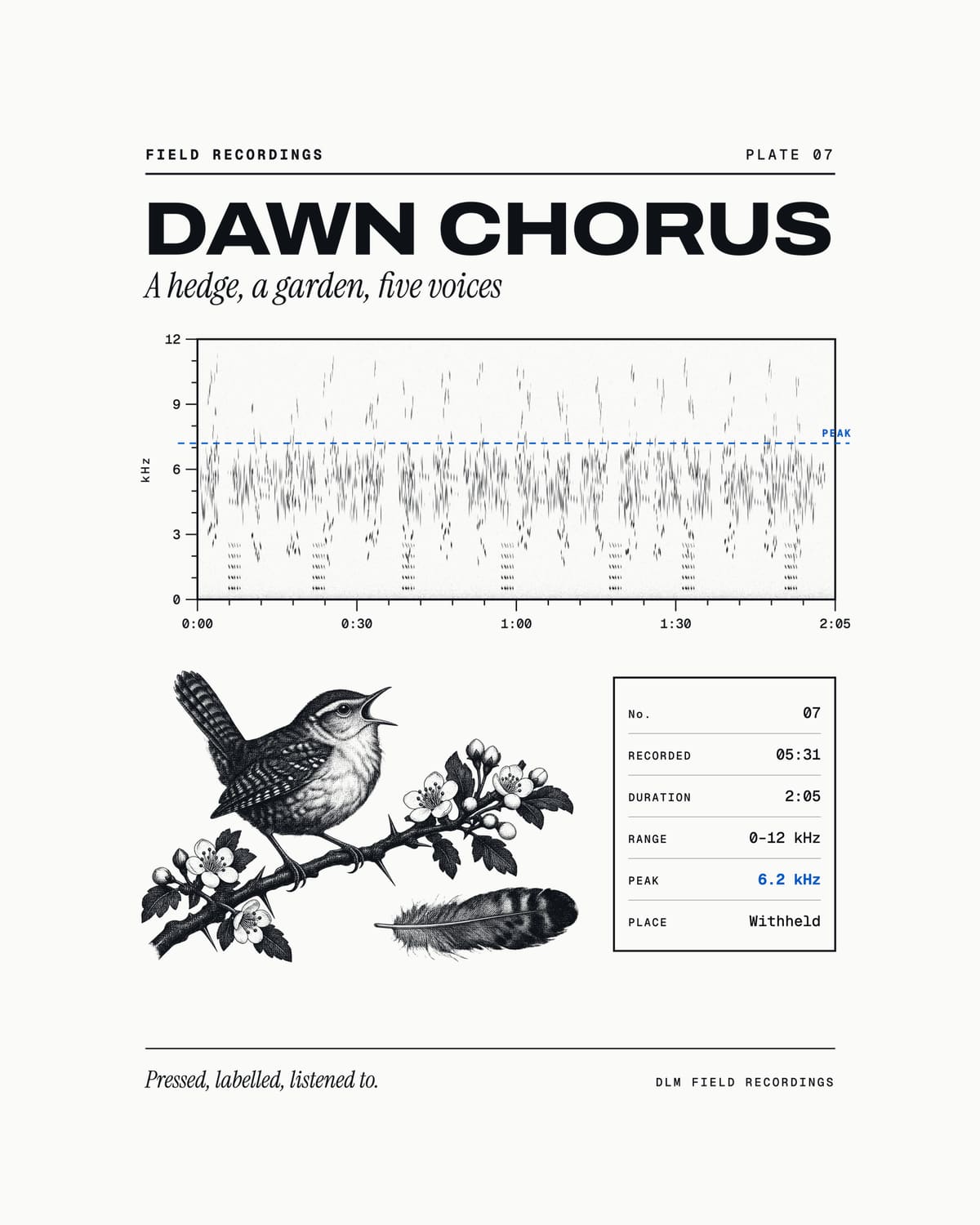 Plate 07, Dawn Chorus: a spectrogram above an engraved singing wren and a specimen label